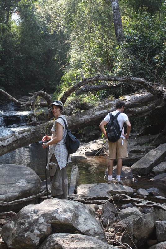 India 2010 - Coorg - Honey Valley - Trek to the Swimming Hole